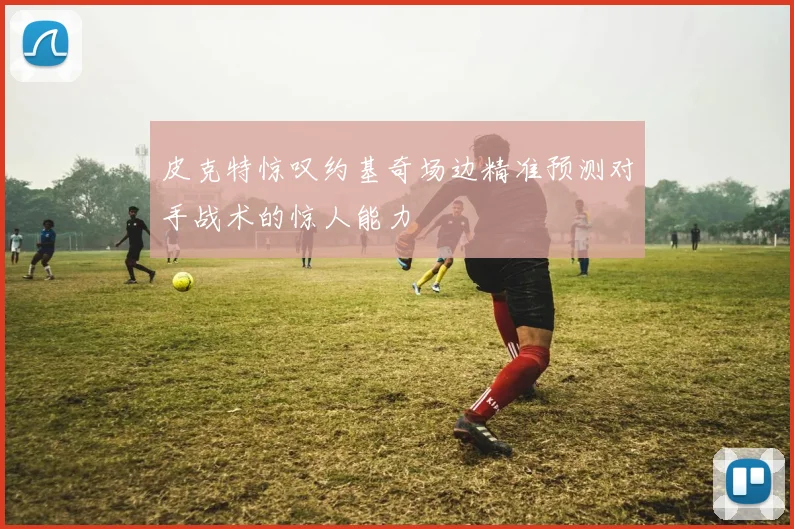 皮克特惊叹约基奇场边精准预测对手战术的惊人能力