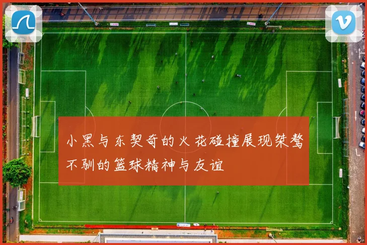小黑与东契奇的火花碰撞展现桀骜不驯的篮球精神与友谊