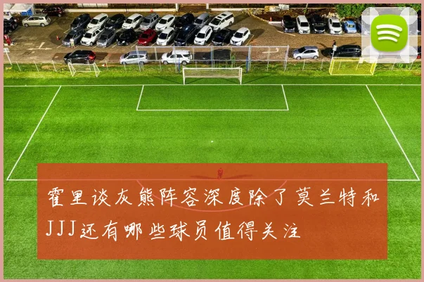 霍里谈灰熊阵容深度除了莫兰特和JJJ还有哪些球员值得关注